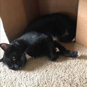 Meet your Posher, Heather