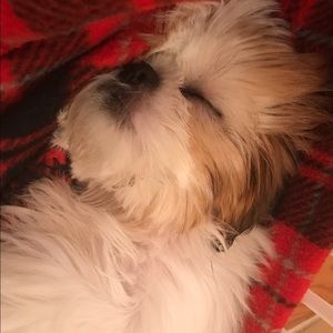 Meet your Posher, Dana