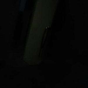 Meet your Posher, Jenny