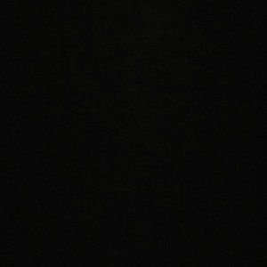 Meet your Posher, Lucy