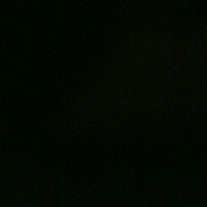 Meet your Posher, Gino