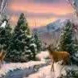 Meet your Posher, Victoria viki