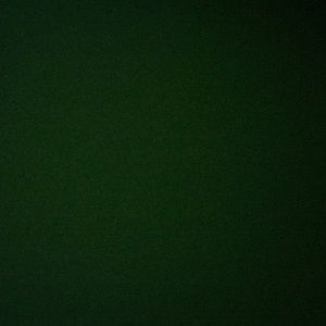 Meet your Posher, Lydia