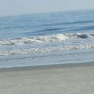 Meet your Posher, Roslyn