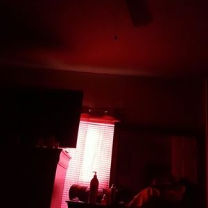 Meet your Posher, Angelica