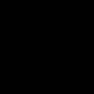 Meet your Posher, Arlyce