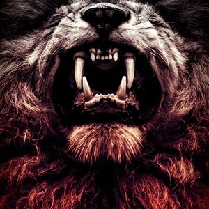 Meet your Posher, Levi