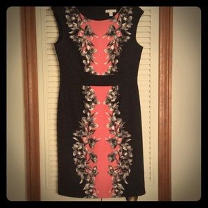 Size 4 beautiful New York and Company Dress 💋