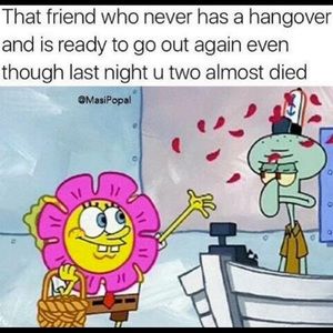 Meet your Posher, Joanna