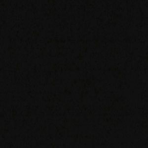 Meet your Posher, Fiza