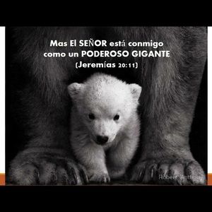 Meet your Posher, Jimmy