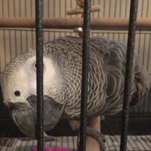 Meet your Posher, Julie