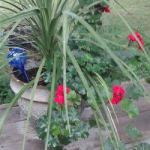 Meet your Posher, Jane