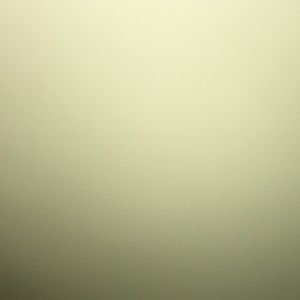 Meet your Posher, Penelope