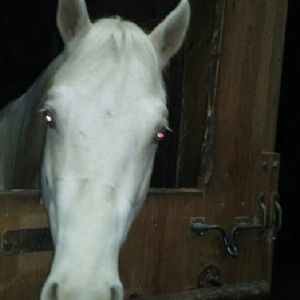 Meet your Posher, Christina