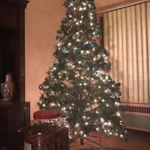 Meet your Posher, Kiara