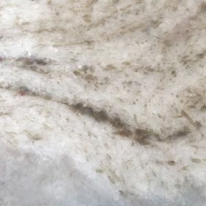 Meet your Posher, Callie