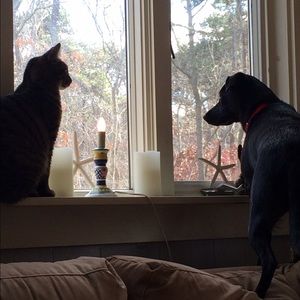 Meet your Posher, Donna