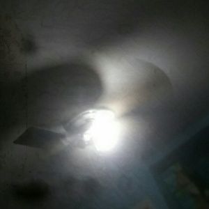 Meet your Posher, Dominick