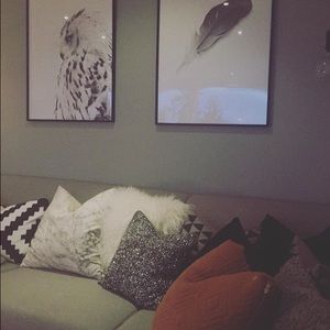 Meet your Posher, Raven