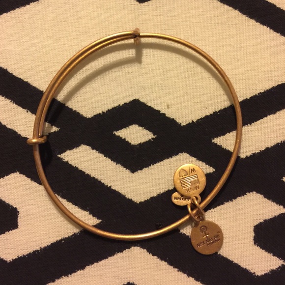 Brand new authentic alex and ani bangle bracelet