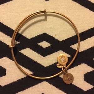 Brand new authentic alex and ani bangle bracelet