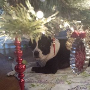 Meet your Posher, Lori