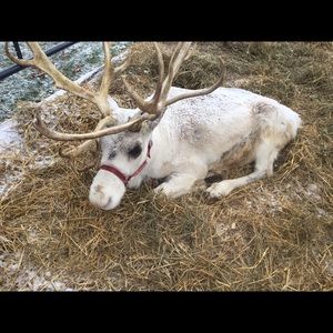 Meet your Posher, Sonja