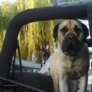 Meet your Posher, Paula