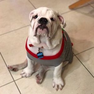 Meet your Posher, Fernanda