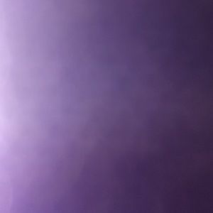 Meet your Posher, Precious