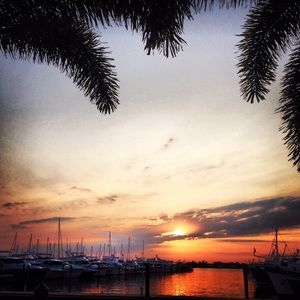 Meet your Posher, Aileen