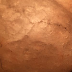 Meet your Posher, Deanna