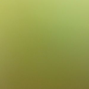 Meet your Posher, Ava