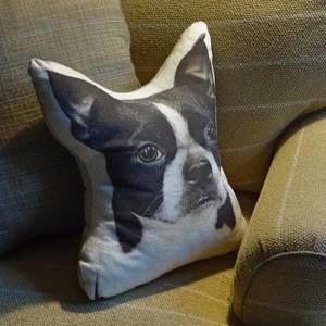 Meet your Posher, Rob