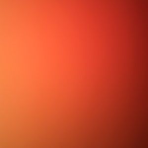 Meet your Posher, Bodi