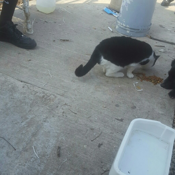 Meet your Posher, Kevin - Picture 1 of 1