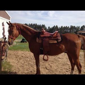 Meet your Posher, Sue