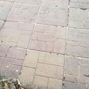 Meet your Posher, Frank