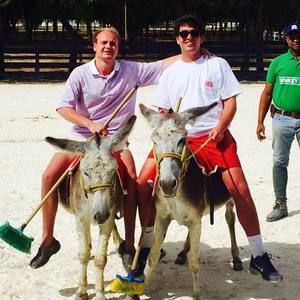 Meet your Posher, Gray