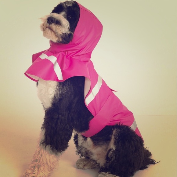 Charles River New Englander Doggie Rain Jacket XS