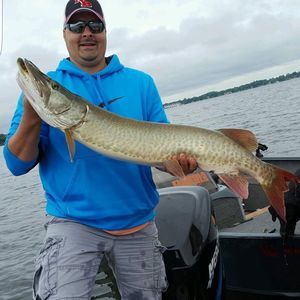 Meet your Posher, Steven