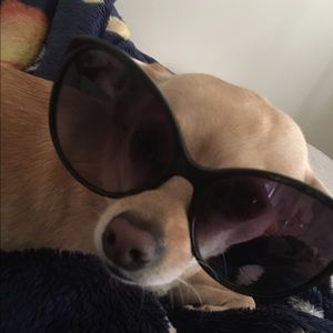 Meet your Posher, Senaca