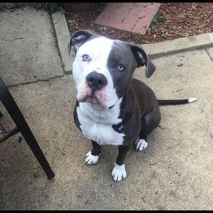 Meet your Posher, Robert