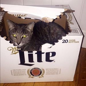 Meet your Posher, Kendall