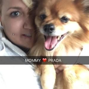 Meet your Posher, Crystal icon