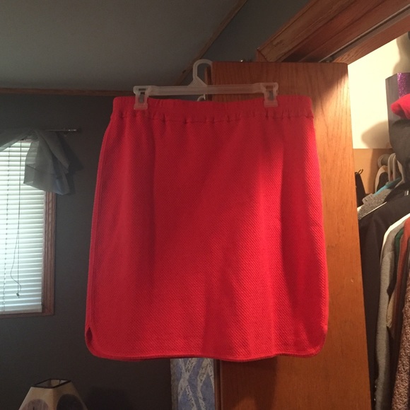 J crew skirt