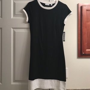 New York & Company Cloth Dress - New with Tags!
