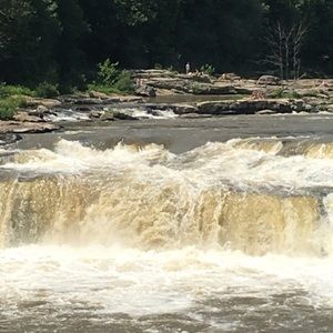 Meet your Posher, Cassie