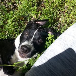 Meet your Posher, Alexis